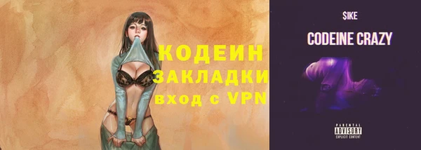 ПСИЛОЦИБИНОВЫЕ ГРИБЫ Заволжье