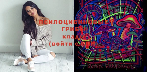 ПСИЛОЦИБИНОВЫЕ ГРИБЫ Заволжье