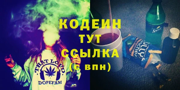 ПСИЛОЦИБИНОВЫЕ ГРИБЫ Заволжье