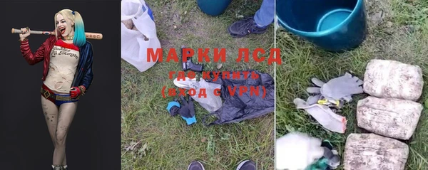 ПСИЛОЦИБИНОВЫЕ ГРИБЫ Заволжье
