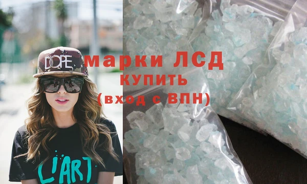 ПСИЛОЦИБИНОВЫЕ ГРИБЫ Заволжье