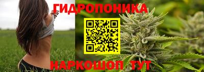 Альфа ПВП Кандалакша