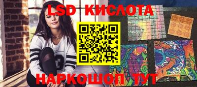 Альфа ПВП Кандалакша