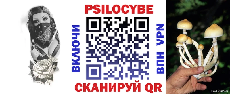 Купить где  Кунгур  Галлюциногенные грибы Psilocybine cubensis 