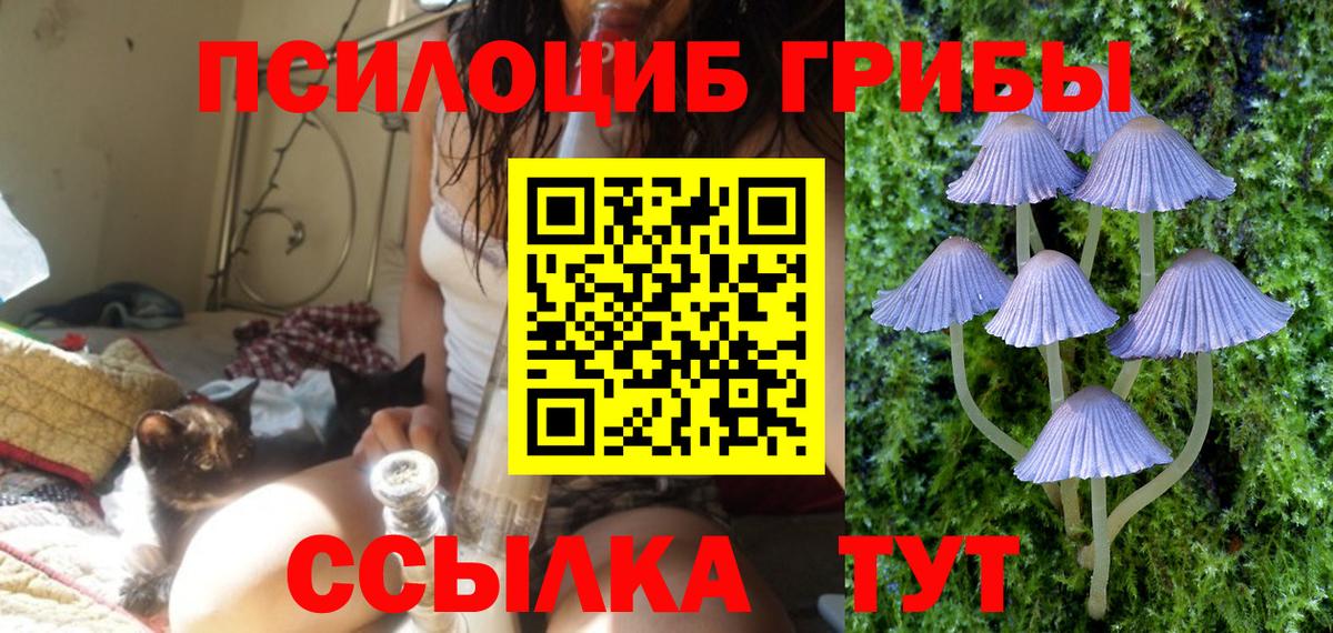 Псилоцибиновые грибы Magic Shrooms Кунгур