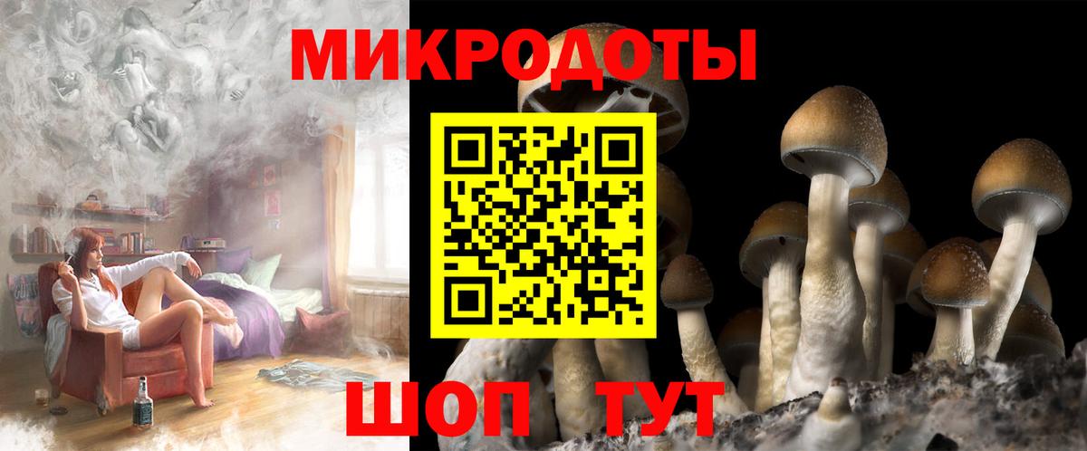 Галлюциногенные грибы Magic Shrooms  Псилоцибиновые грибы Cubensis  Кунгур 