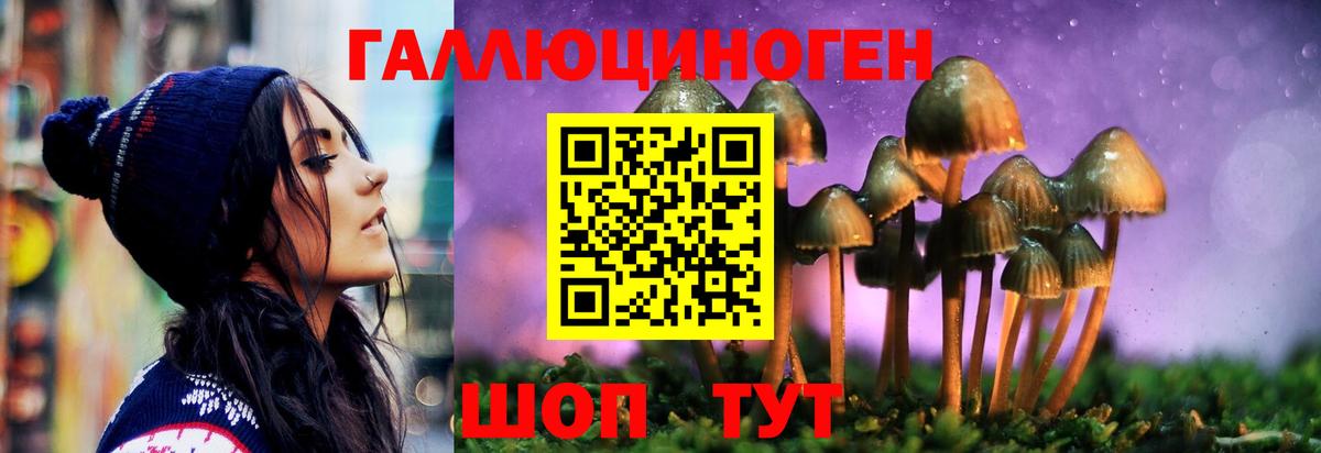 Кунгур  дарнет шоп  Вход с VPN  Псилоцибиновые грибы MAGIC MUSHROOMS  Псилоцибиновые грибы GOLDEN TEACHER 
